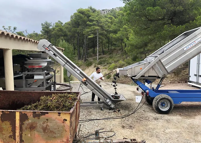 Château Catherine de Montgolfier B&B et Gites